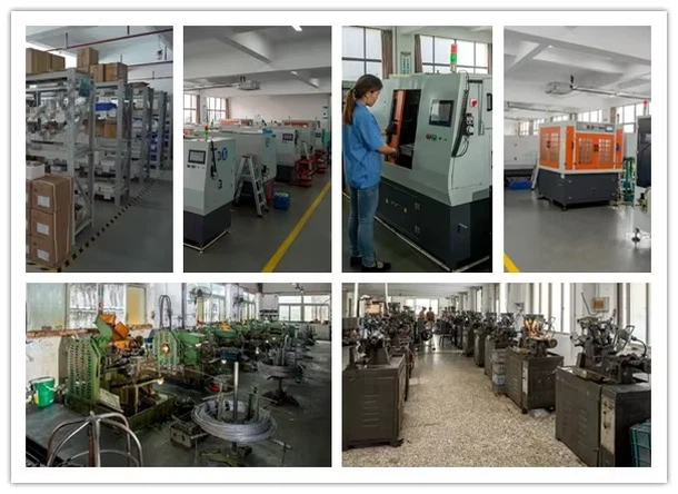 1736147326338 1736147326338